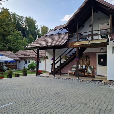 Casa Popa'S Hotel Cîrţişoara Buitenkant foto