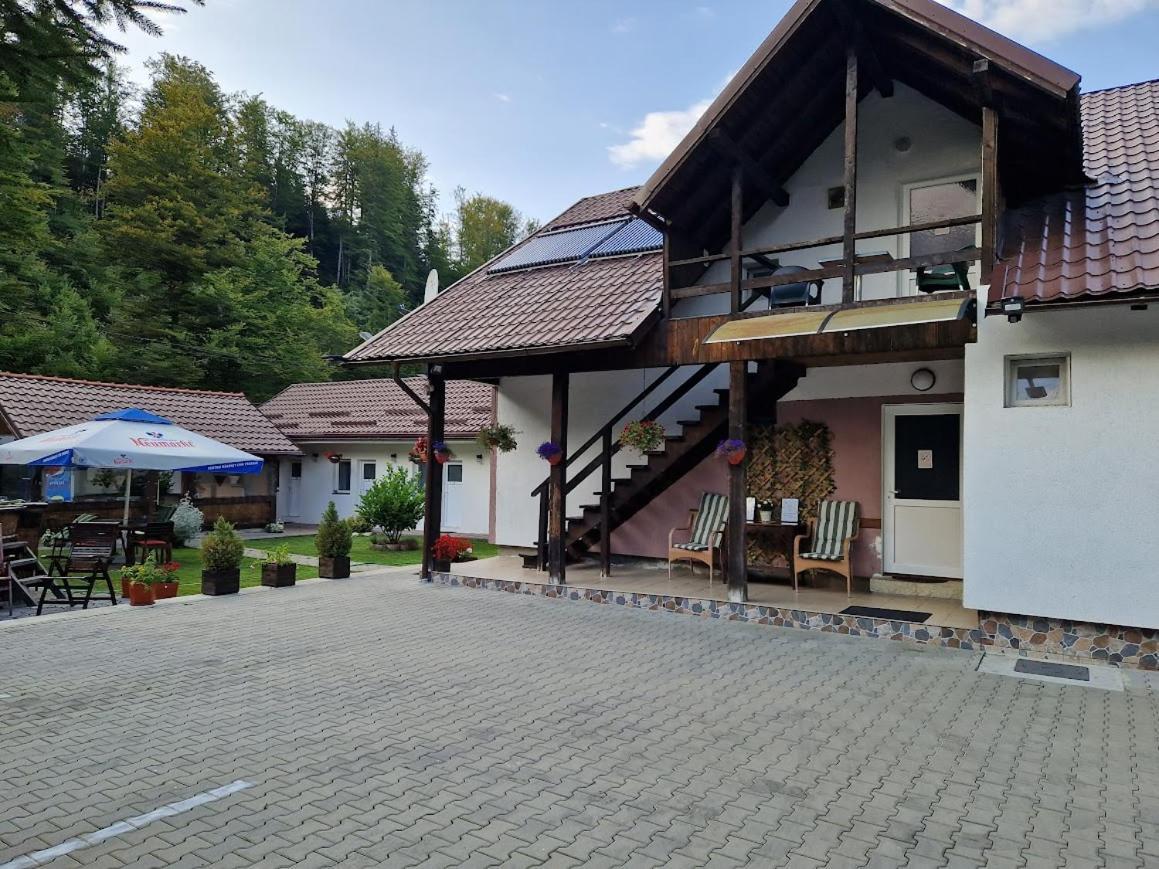 Casa Popa'S Hotel Cîrţişoara Buitenkant foto