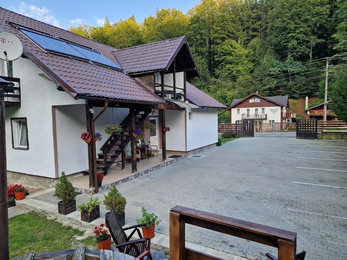 Casa Popa'S Hotel Cîrţişoara Buitenkant foto