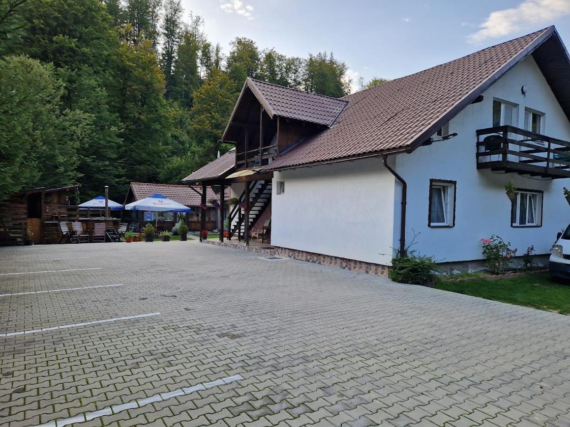Casa Popa'S Hotel Cîrţişoara Buitenkant foto