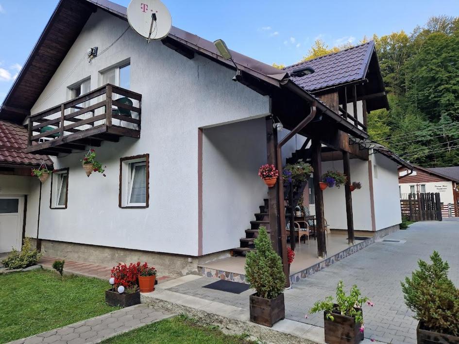 Casa Popa'S Hotel Cîrţişoara Buitenkant foto