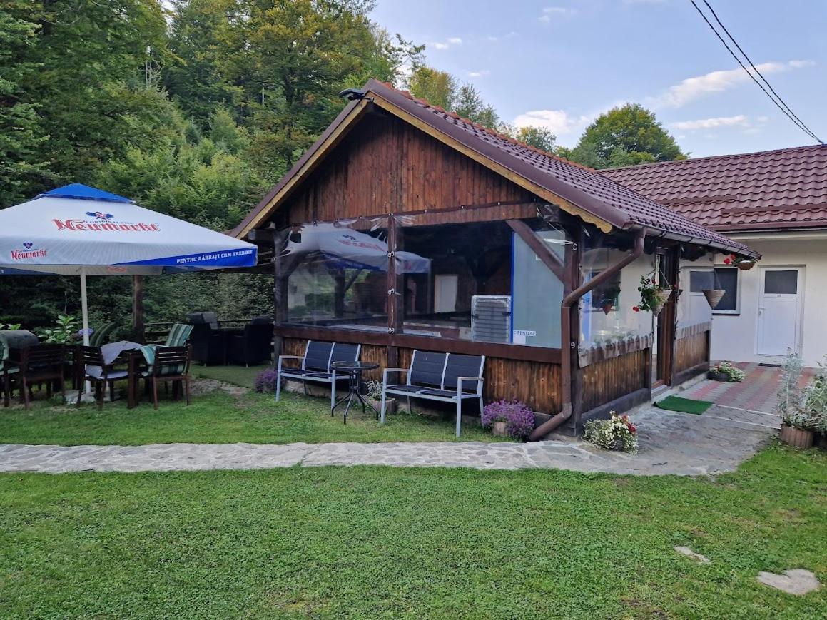 Casa Popa'S Hotel Cîrţişoara Buitenkant foto