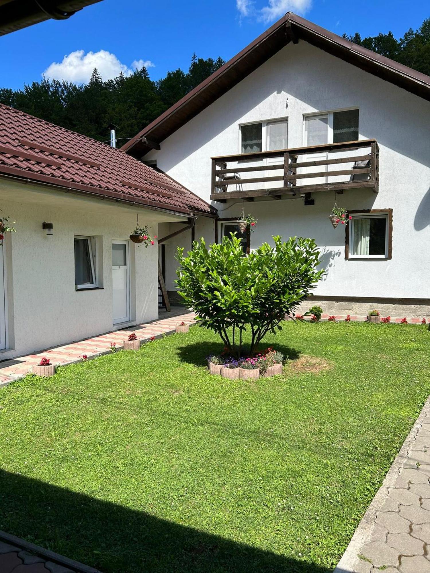 Casa Popa'S Hotel Cîrţişoara Buitenkant foto