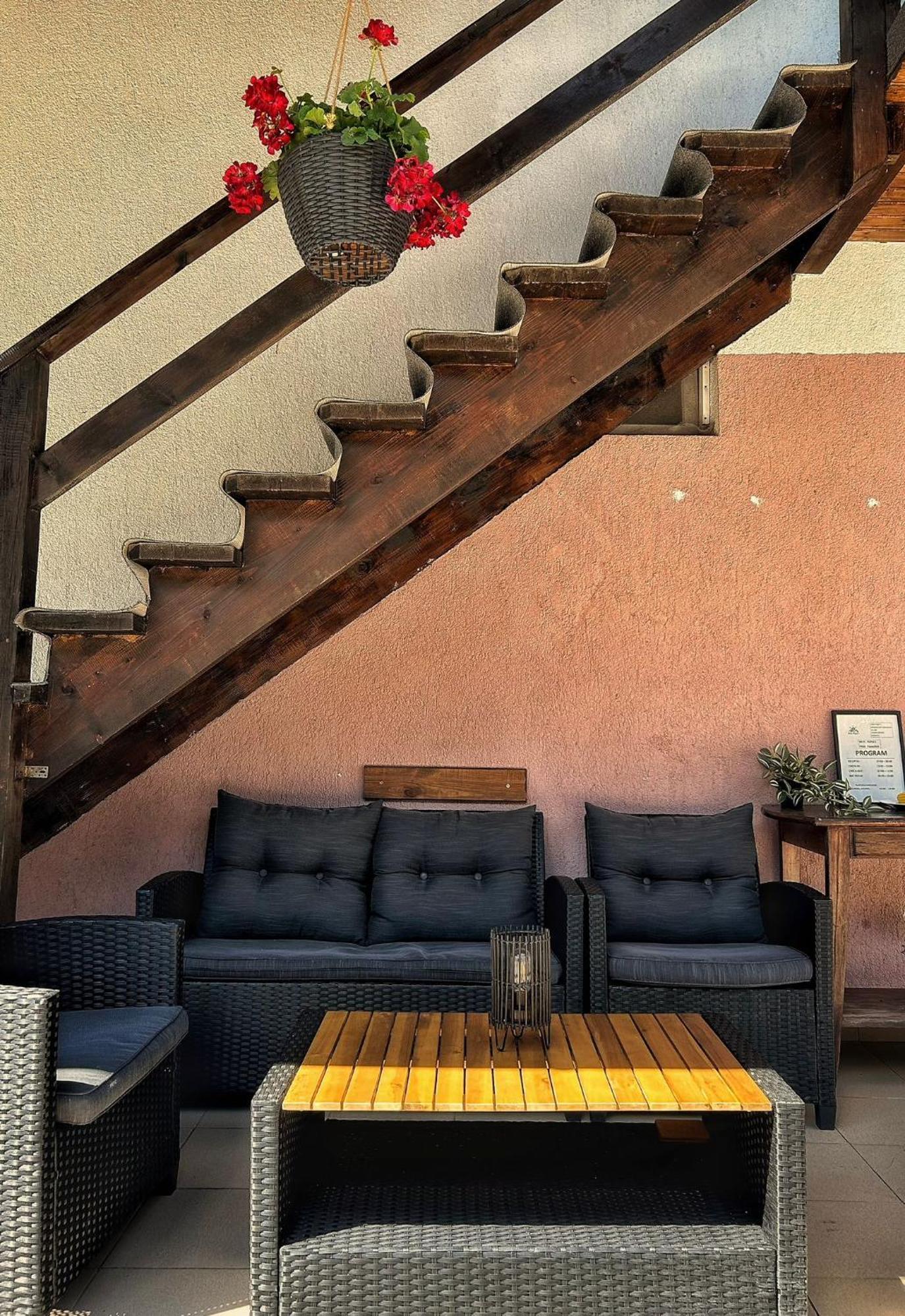 Casa Popa'S Hotel Cîrţişoara Buitenkant foto