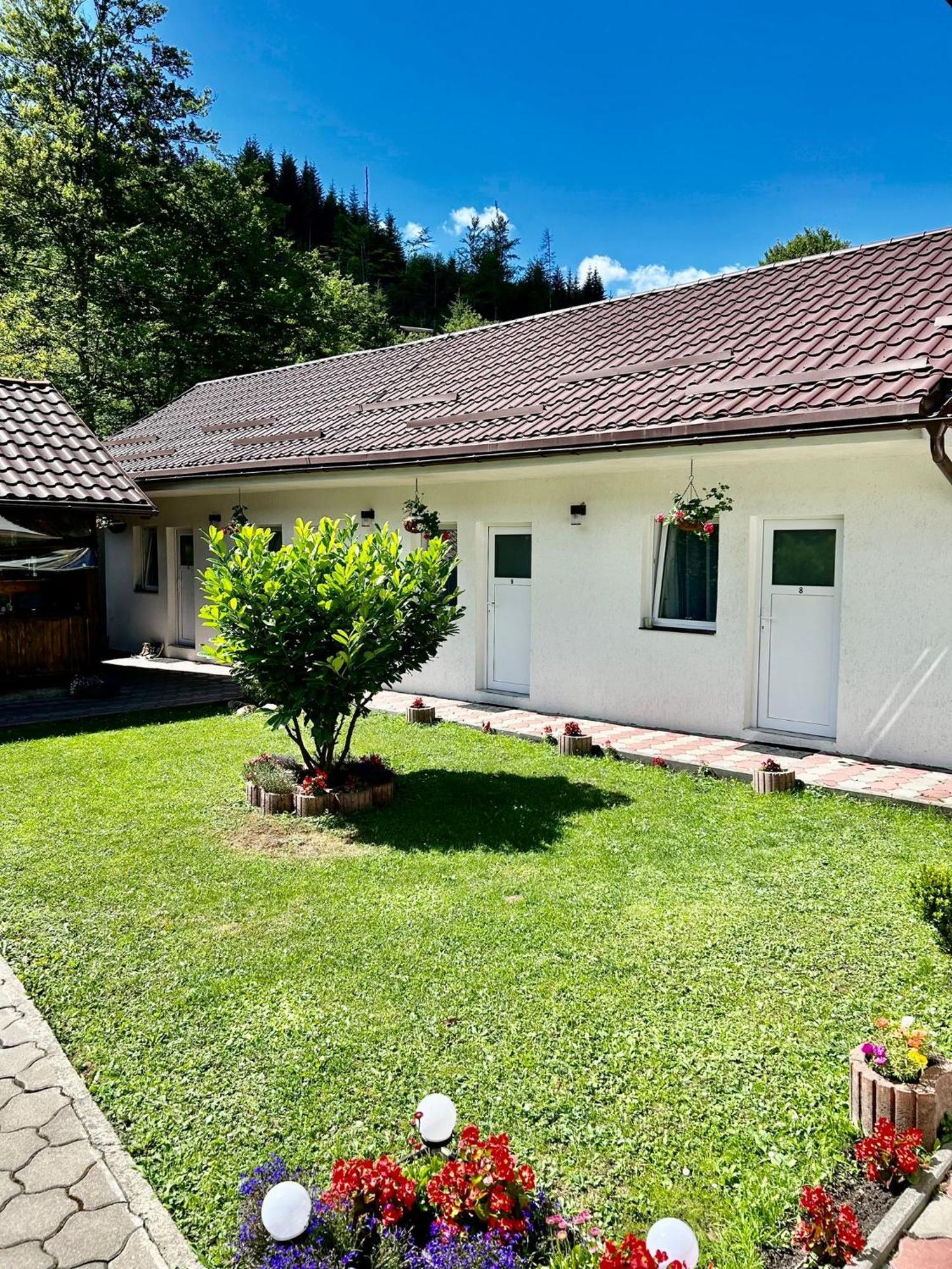 Casa Popa'S Hotel Cîrţişoara Buitenkant foto