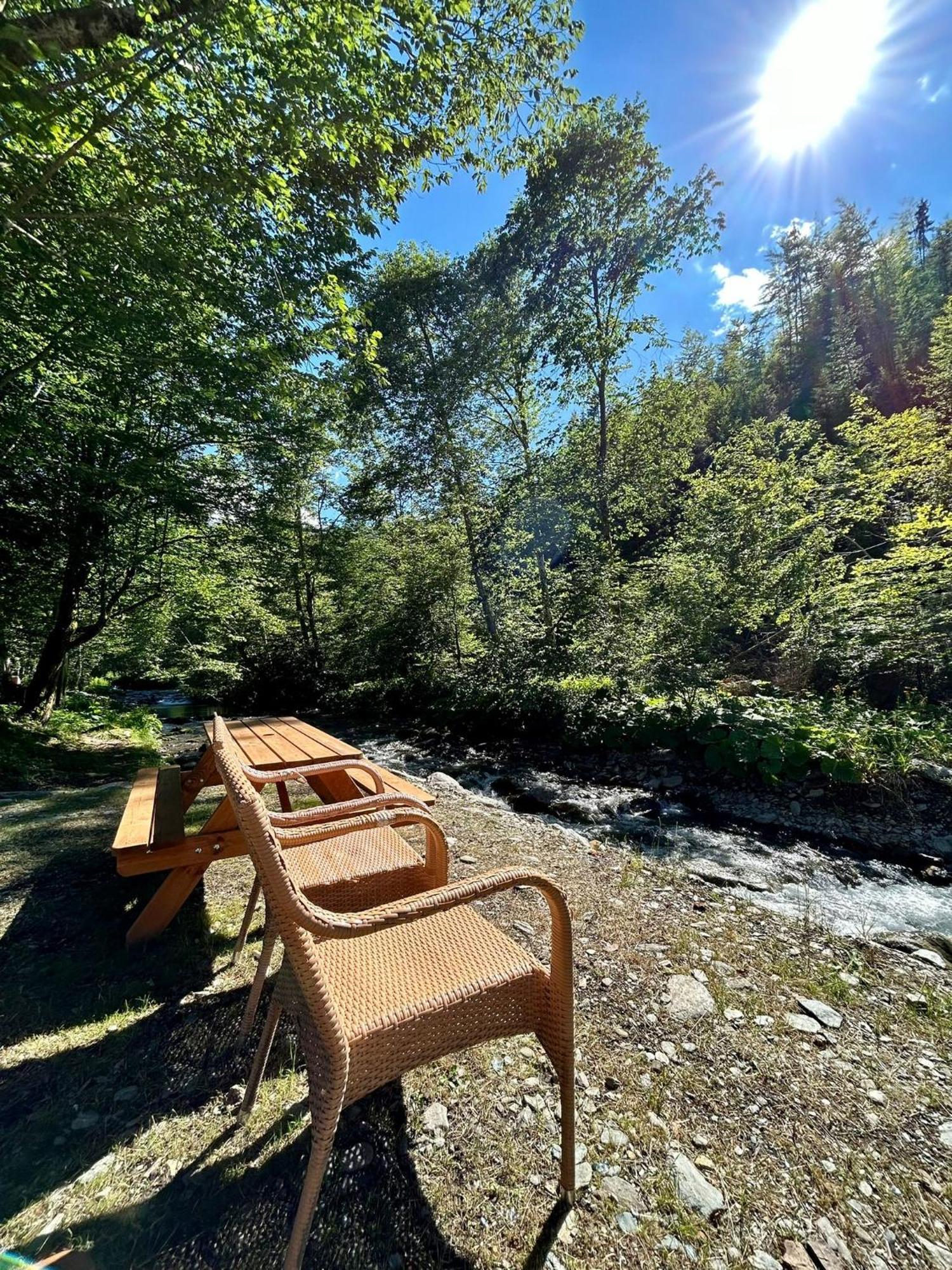 Casa Popa'S Hotel Cîrţişoara Buitenkant foto