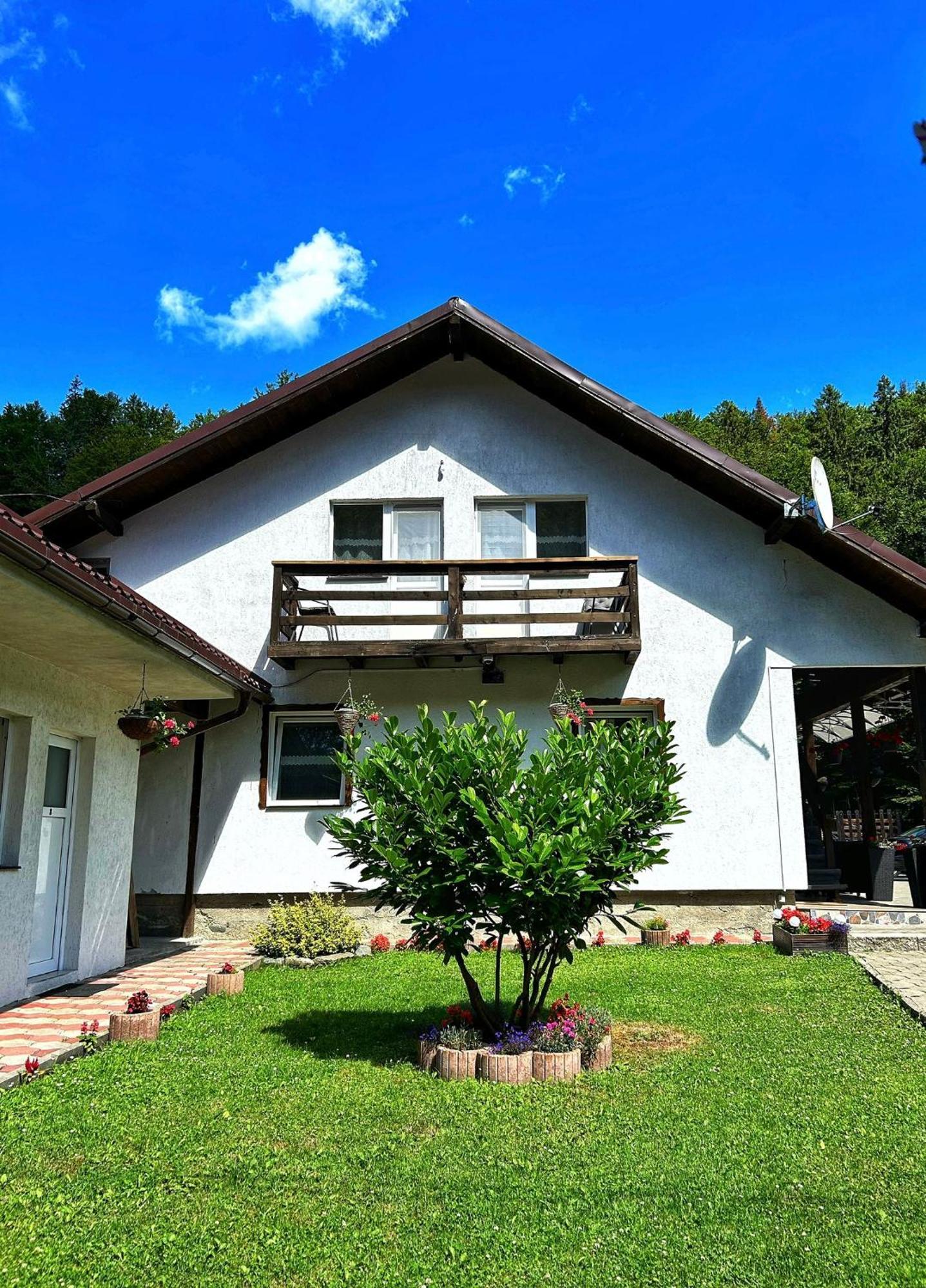 Casa Popa'S Hotel Cîrţişoara Buitenkant foto