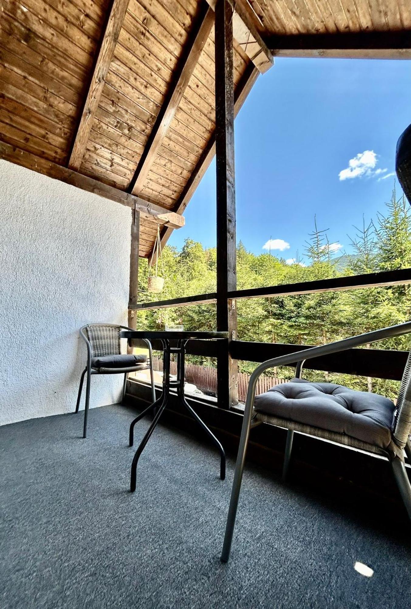 Casa Popa'S Hotel Cîrţişoara Buitenkant foto