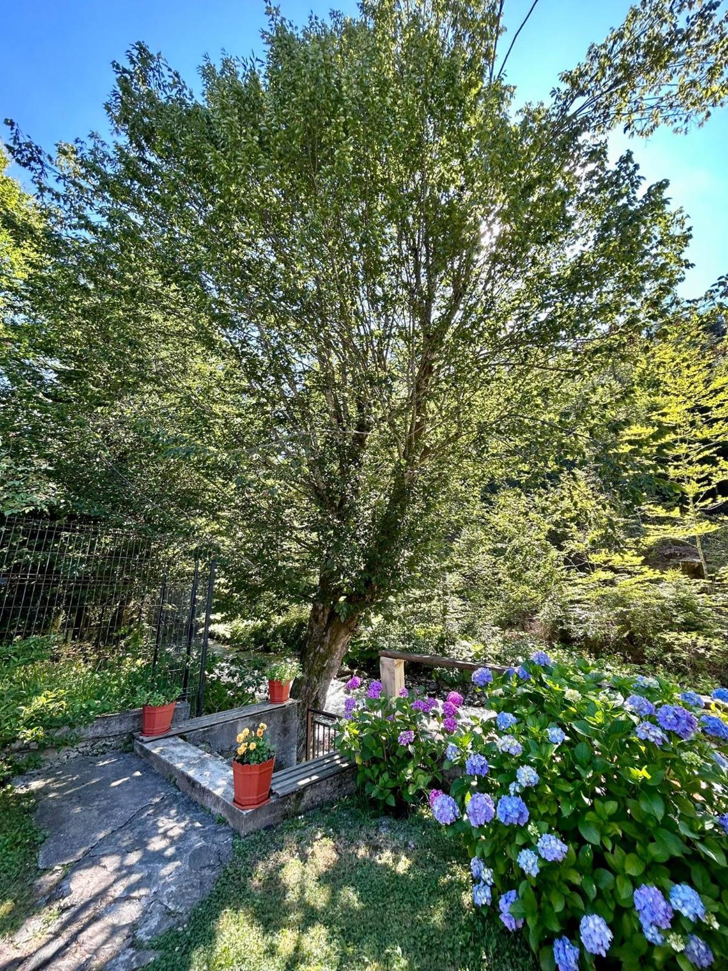 Casa Popa'S Hotel Cîrţişoara Buitenkant foto