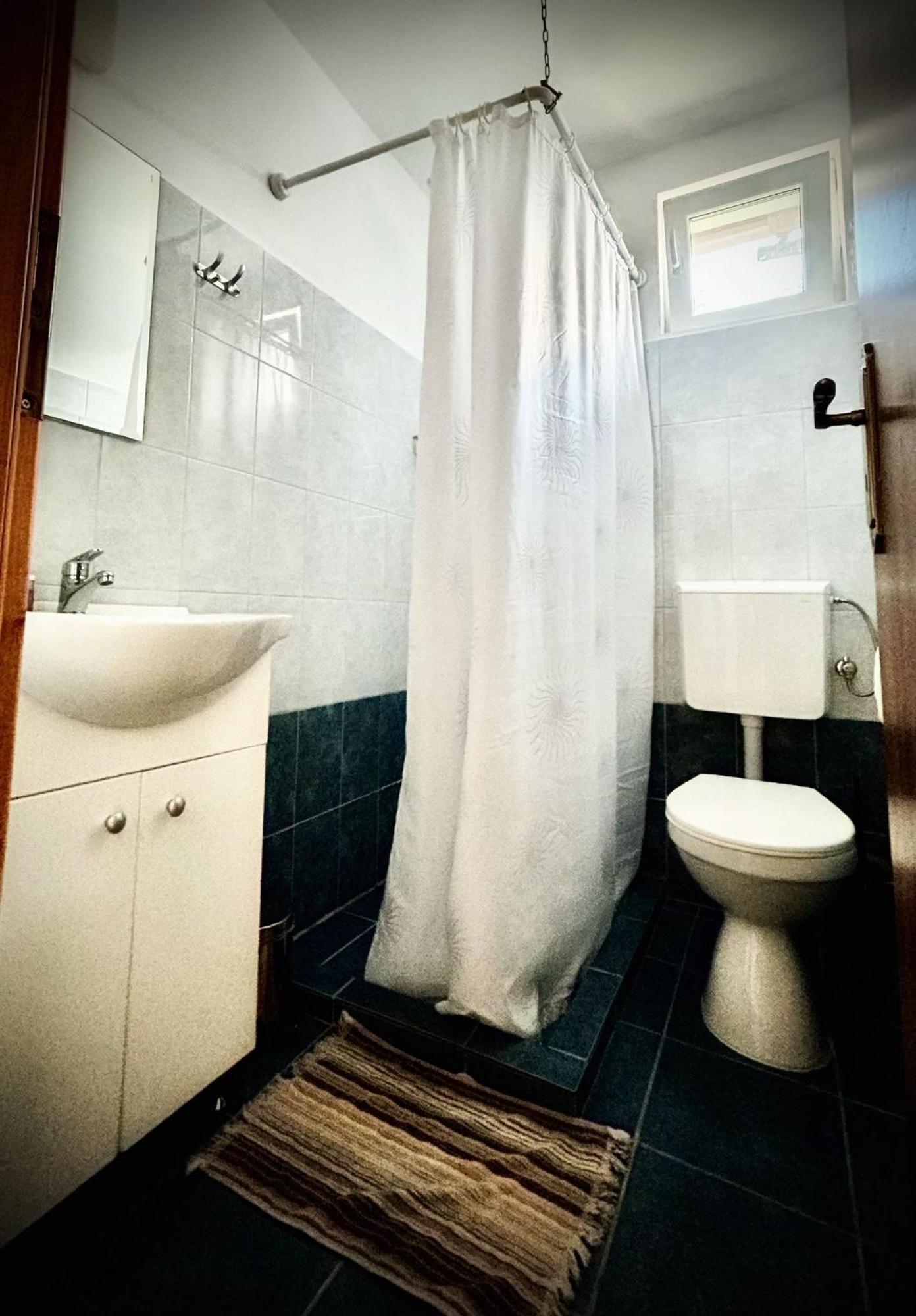Casa Popa'S Hotel Cîrţişoara Buitenkant foto