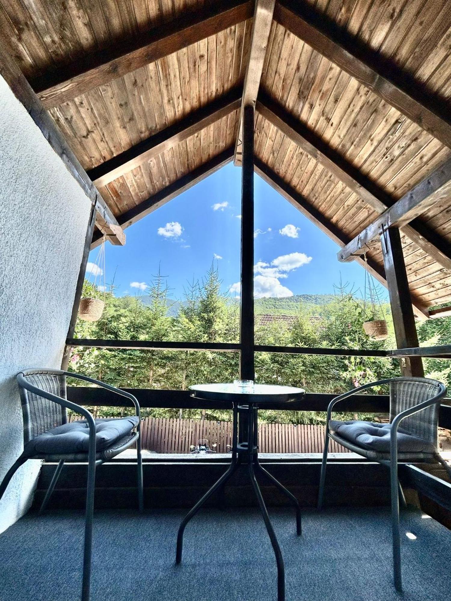 Casa Popa'S Hotel Cîrţişoara Buitenkant foto